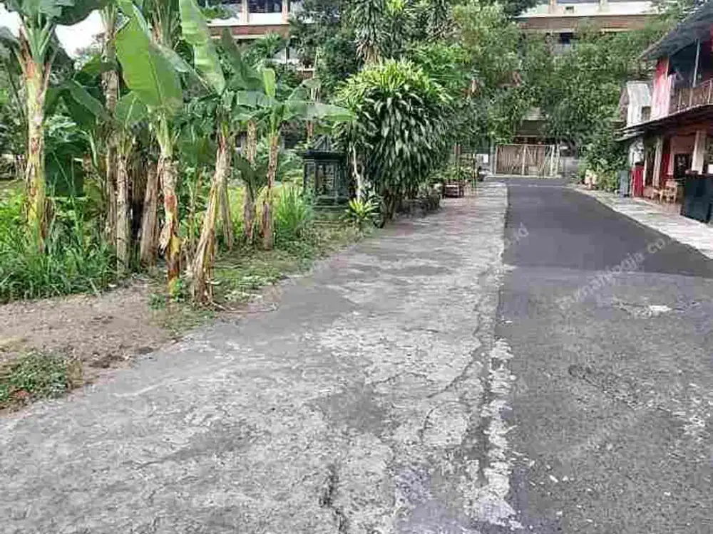 tanah belakang persis kampus Sanata dharma Paingan maguwoharjo