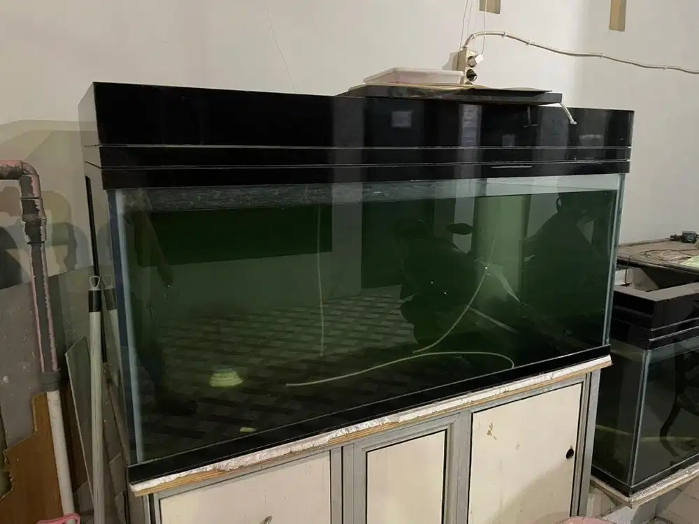 AQUARIUM BESAR UKURAN 125x55x60 cm