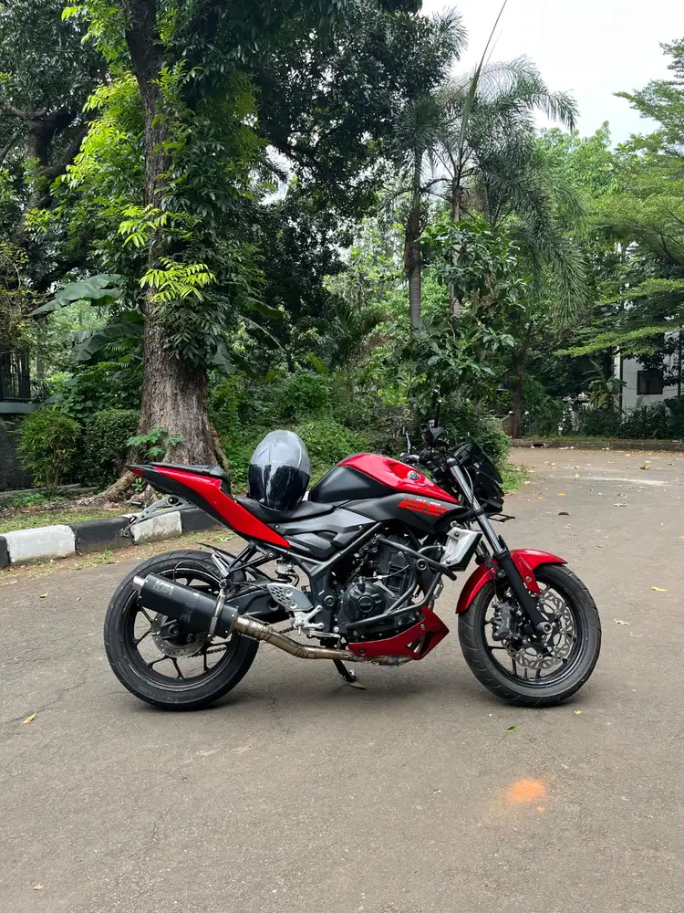 Yamaha Mt 25 2015 Mt25 R25