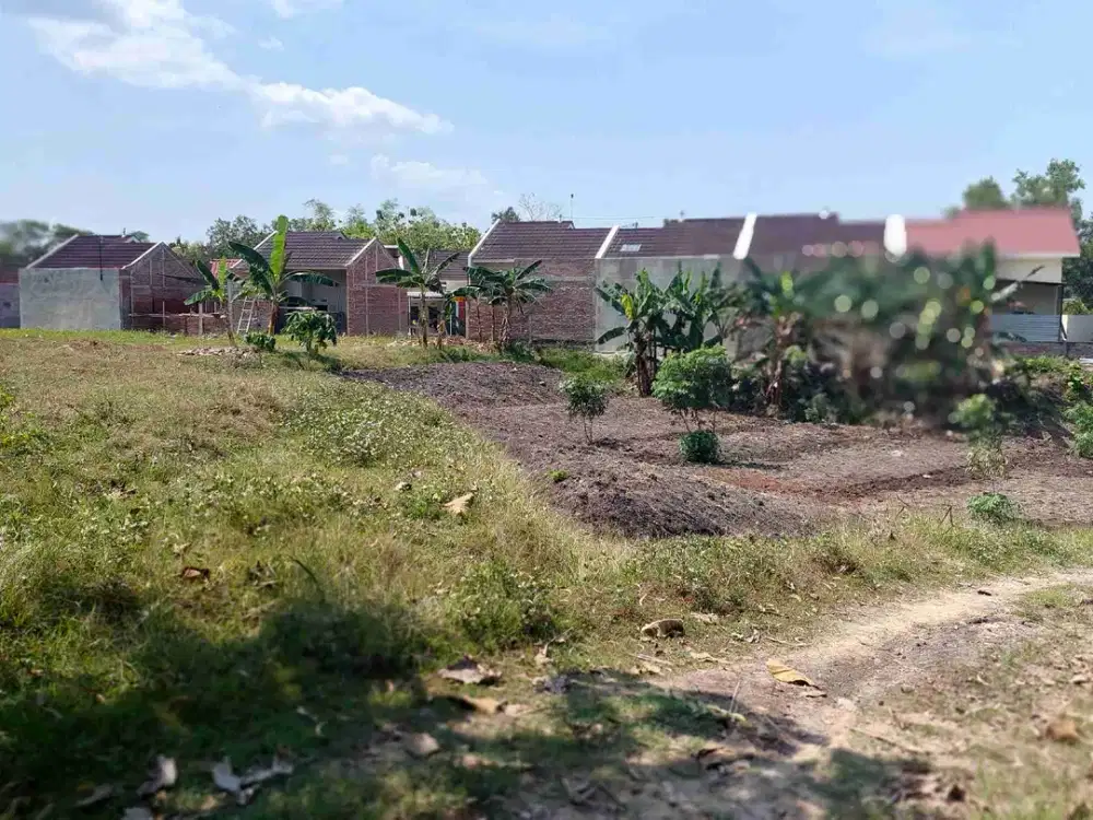 Dijual lahan 2,8ha diwatugajah jeruksawit karanganyar