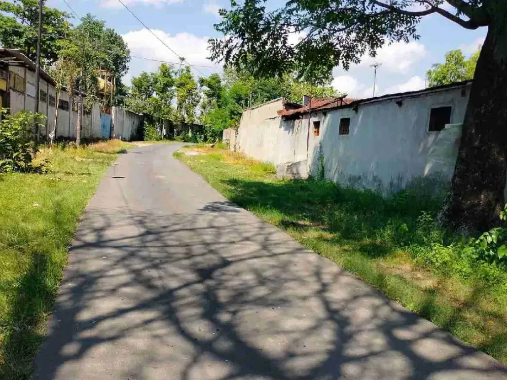 Dijual lahan 3 ha di jeruksawit karanganyar