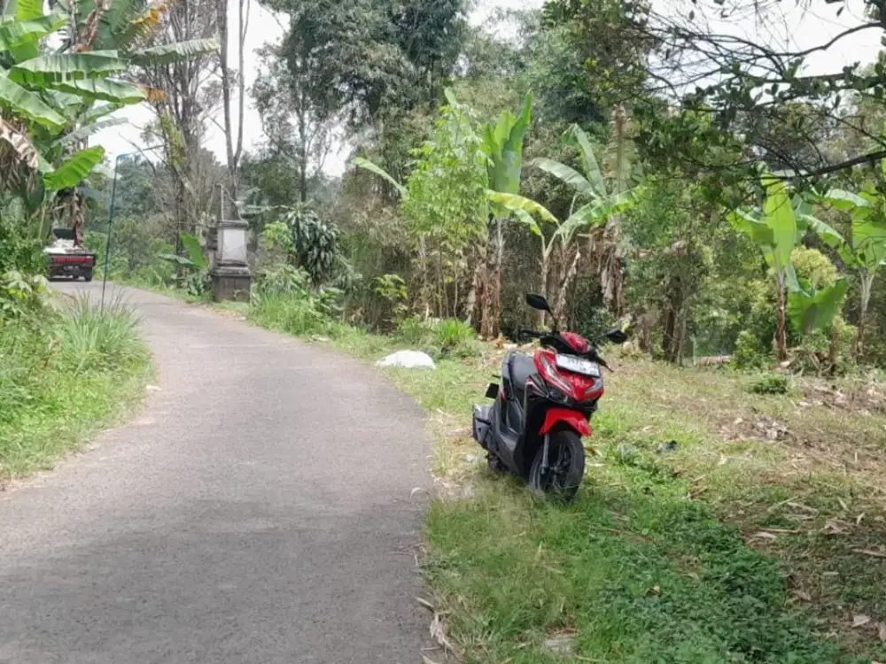 Dijual lahan 1450 meter pinggir jalan cocok untuk villa
