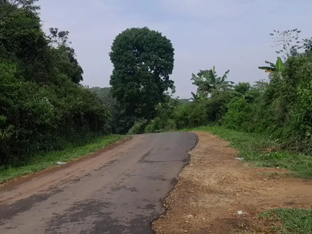 dijual lahan 6,8 Ha cocok untuk ternak atau gudang