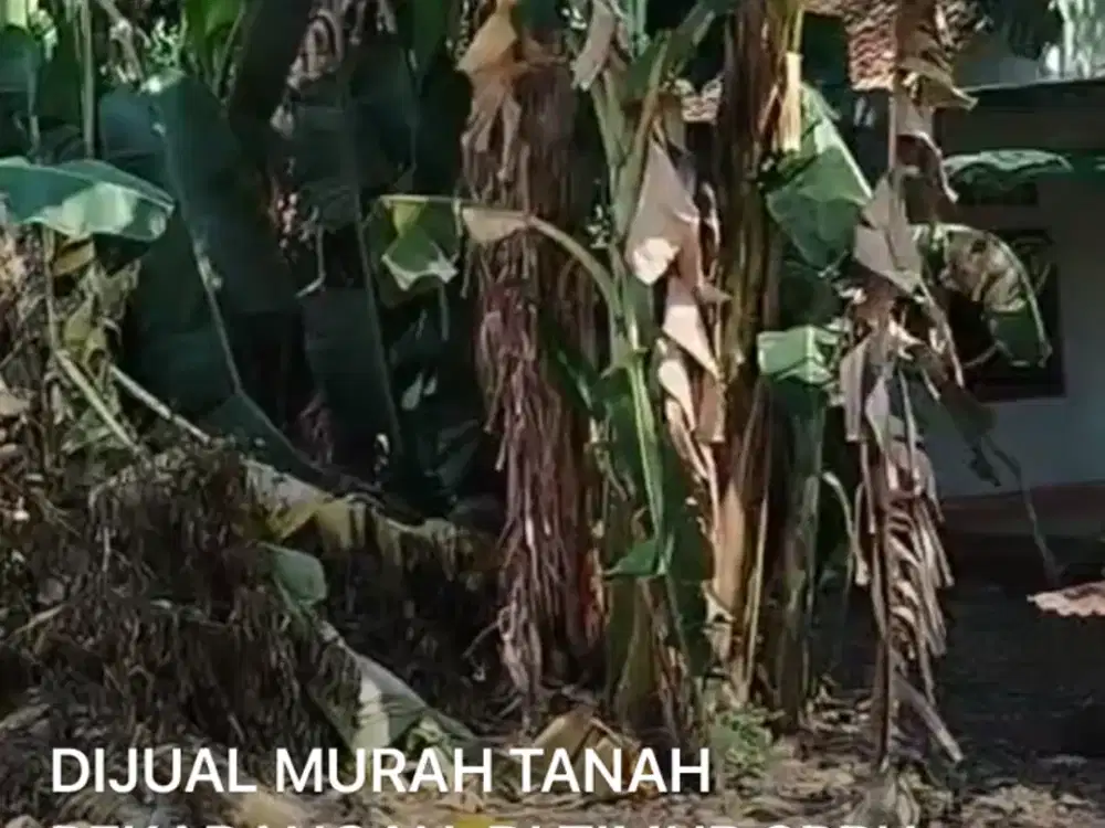 Dijual Tanah Pekarangan di Balong Potorono Bantul