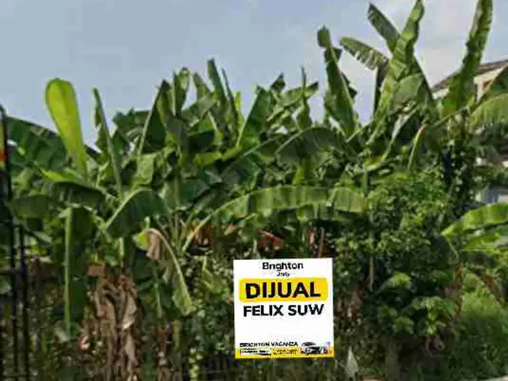 Jual Tanah @ Raya Jelidro