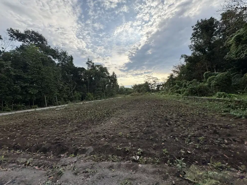 Area UII; Tanah Kawasan Eksklusif; SHM Per Unit