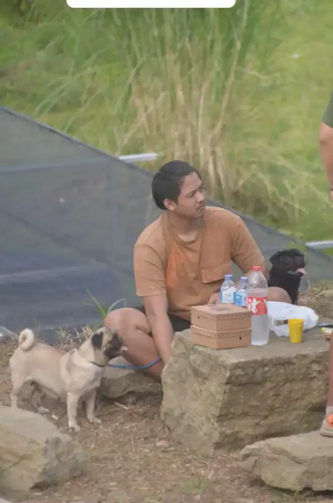 Cari pejerjaan modal KTP, kk,