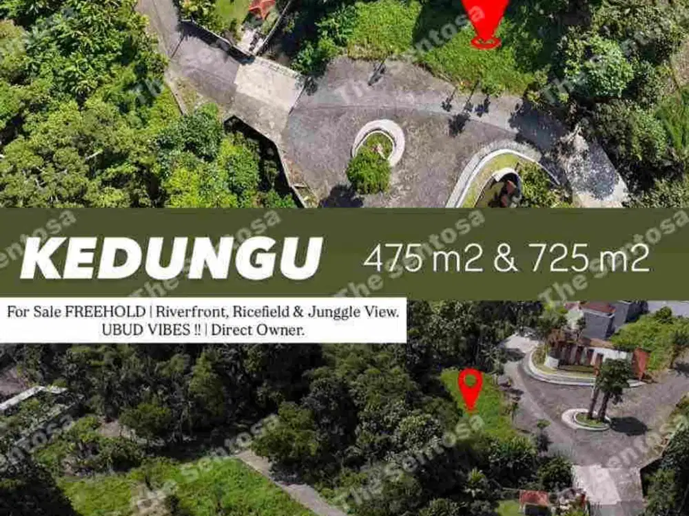 KEDUNGU LAND RIVERFRONT RICEFIELD JUNGGLE VIEW