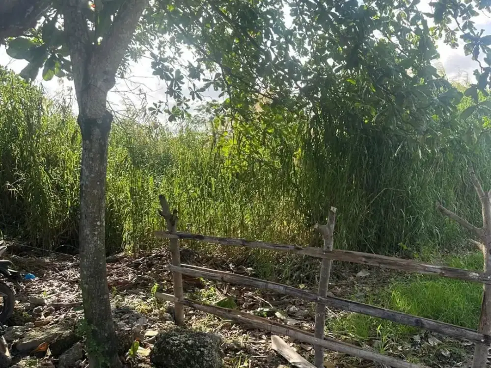 TANAH POTENSIAL 7,2 ARE DEKAT KE SEMINYAK DAN KUTA