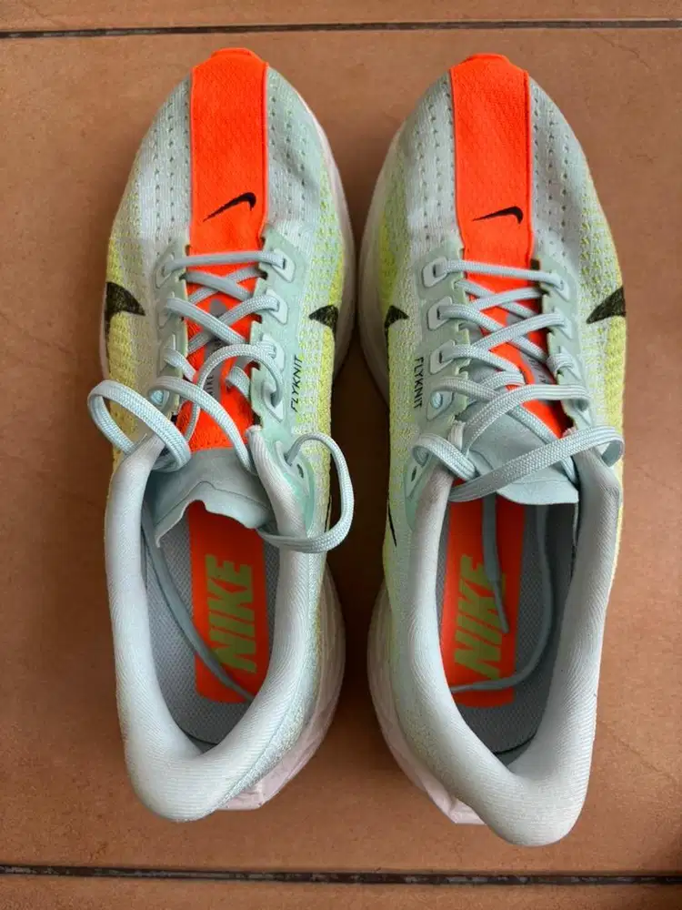 Nike Zoom Pegasus Plus