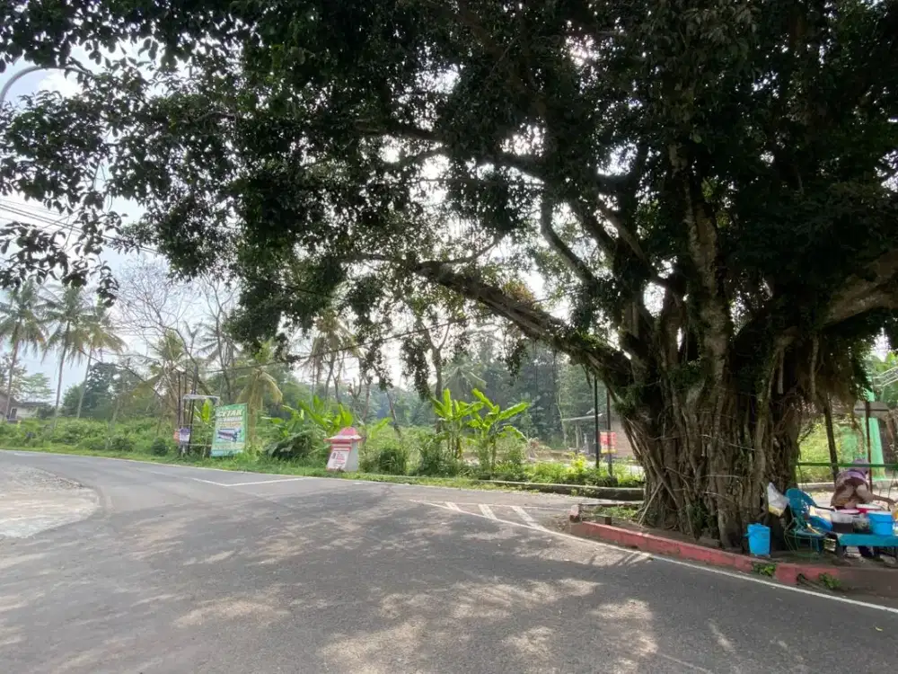 5 Menit Pasar Jangkang Tanah Siap Balik Nama