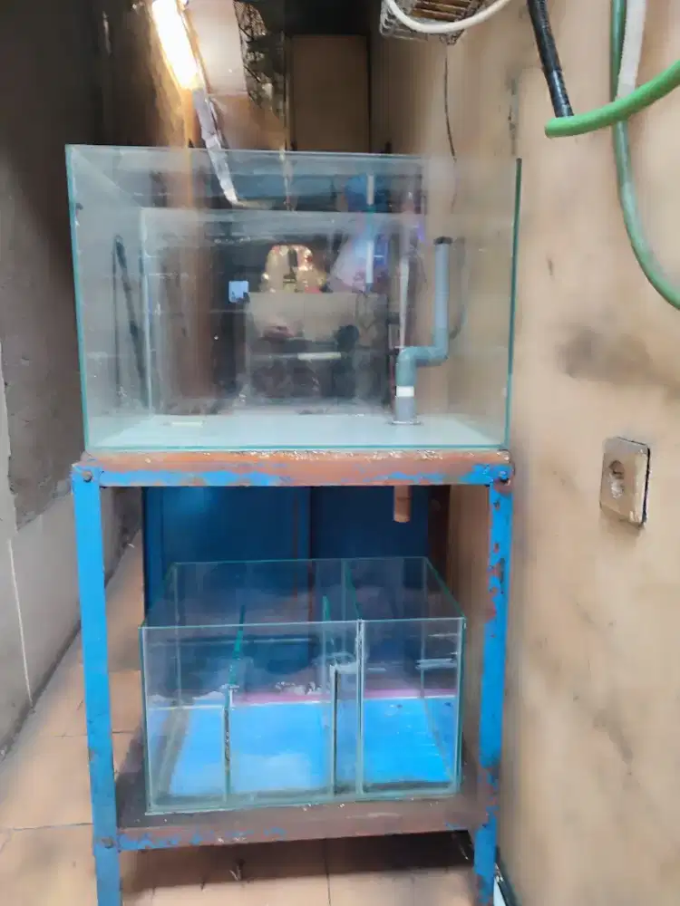 Akuarium untuk ikan hias air laut