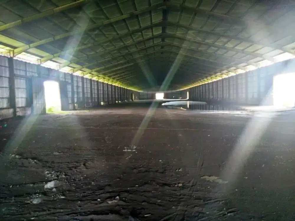 Dijual Gudang Jl Arteri Kaliwungu, 1,1 hektar, murah