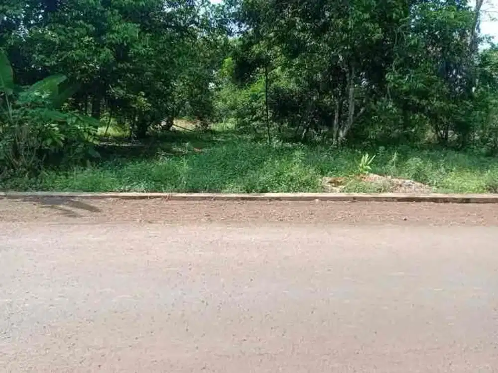 Dijual Tanah Pinggir jalan di Kalijati Subang dekat exit tol kalijati