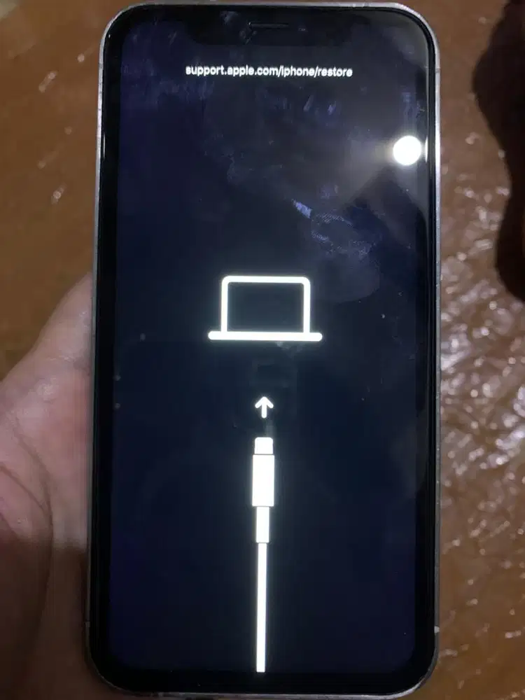 Iphone XR 128GB Stuck Logo Sesuai Foto Icloud Sinyal Aman