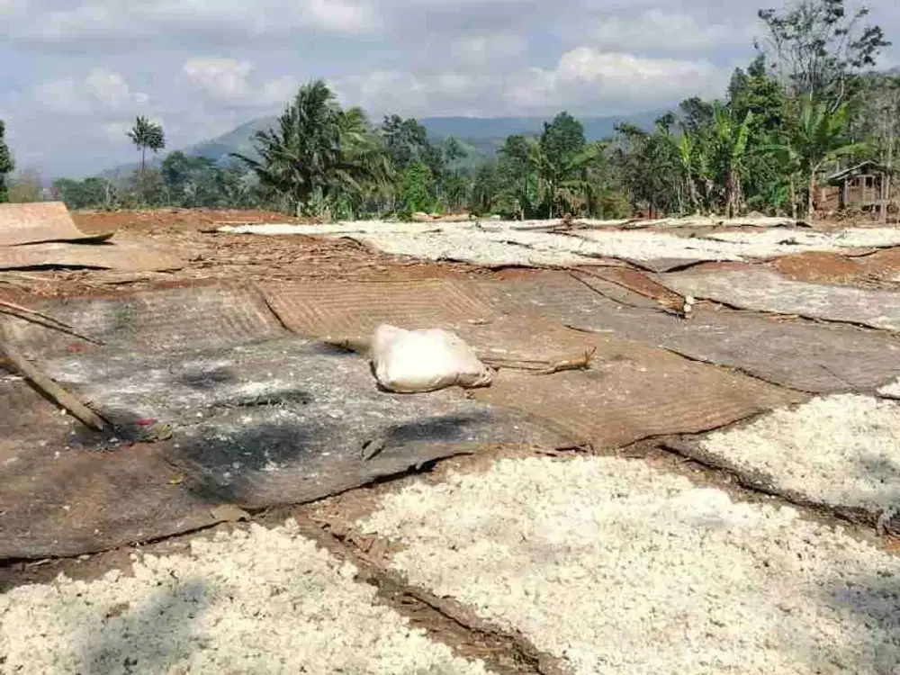 Dijual Pabrik Gaplek yg sudah beroperasi