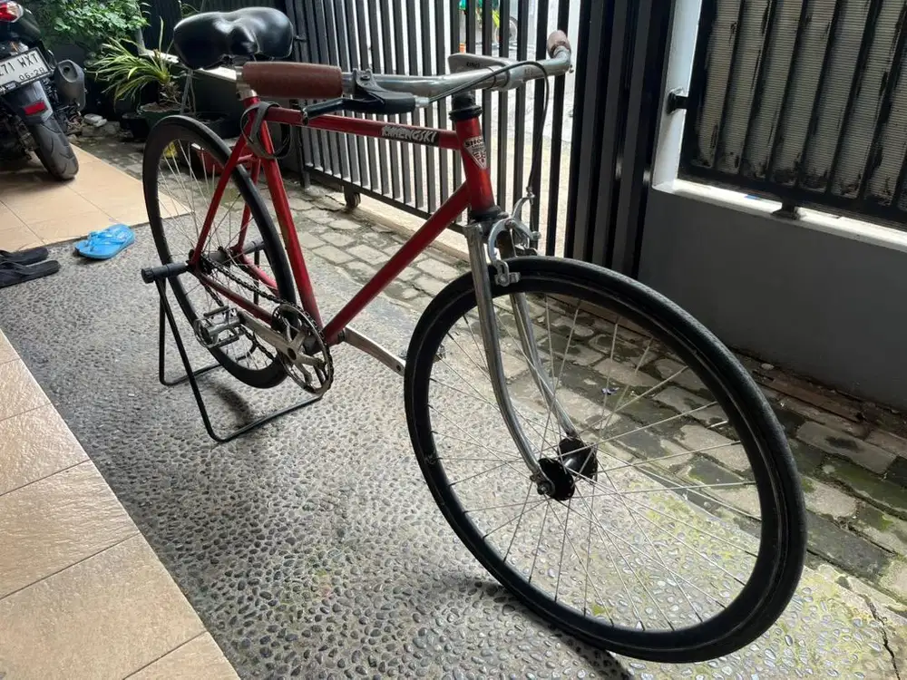 [For Sell] Sepeda Fixie + Cat Eye