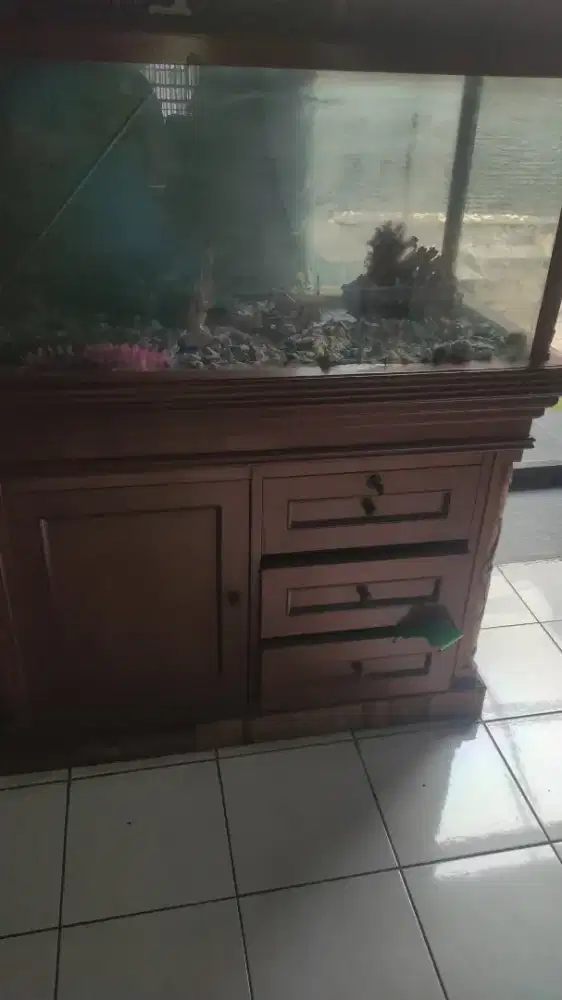 Jual aquarium ukuran ± 100 cm x 140cm