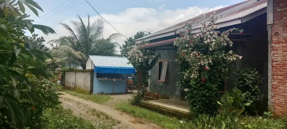 Di jual cepat Tanah (316 M²) dan Bangunan (120 M²) -(Sertifikat : SHM)