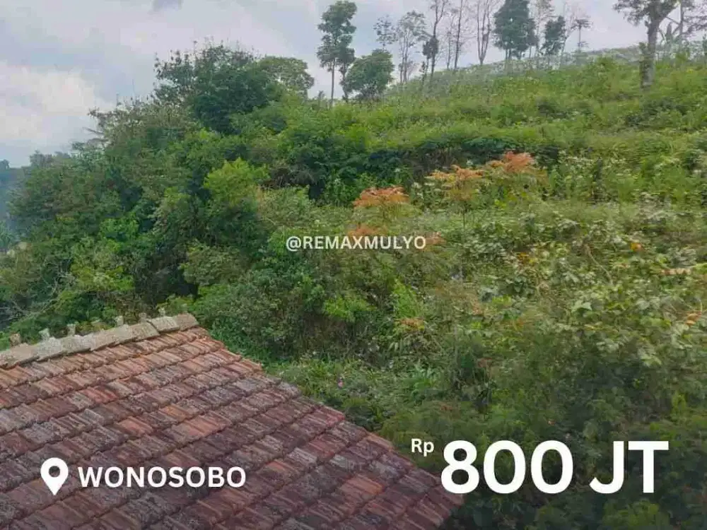 Dijual tanah View Pegunungan Seluas 7.500m2 di Wonosobo