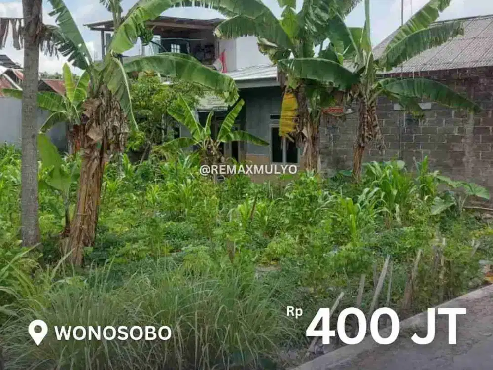 Tanah Dijual Area Wonosobo Cocok untuk Hunian