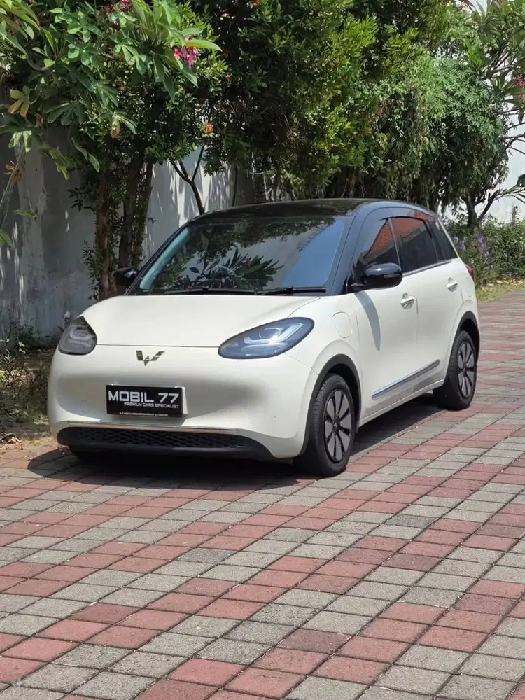 WULING BINGUO PRO 333KM AC+DC 2024 (ODO 19rb)