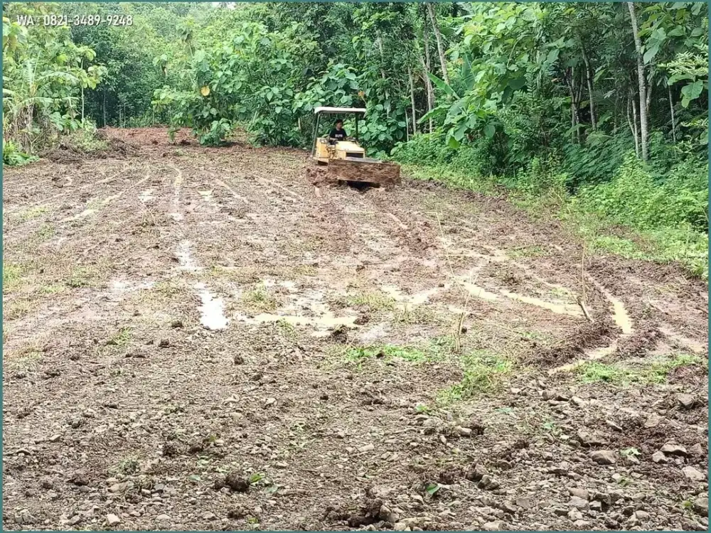 Tanah Murah Sleman, 140 Juta Moyudan dekat Pasar Ngijon Godean