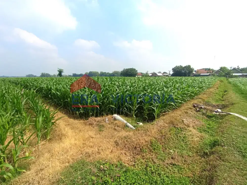 DIJUAL Tanah di Badas Kab Kediri