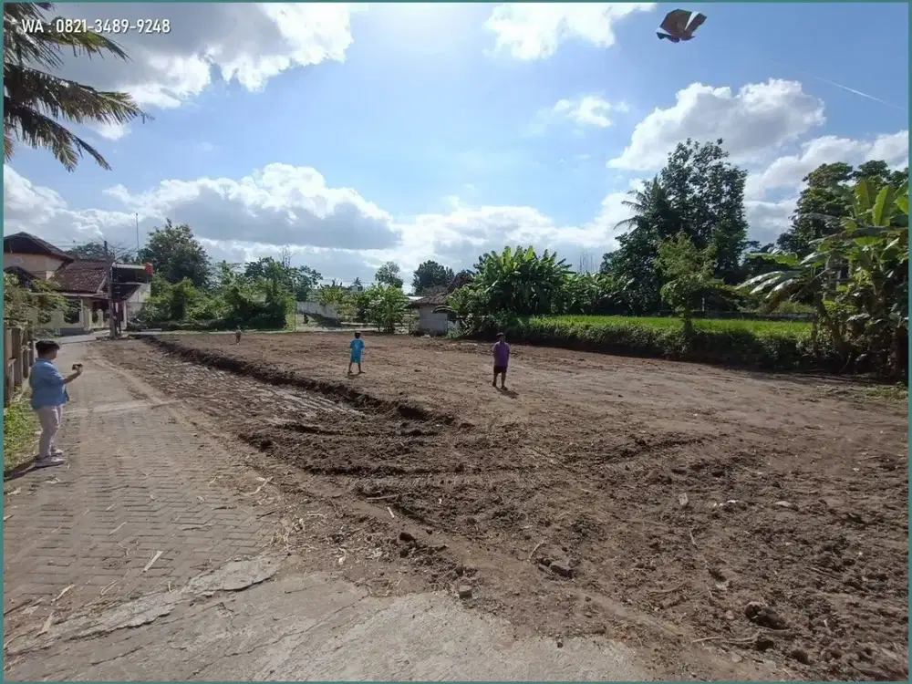 Jual Kapling Yogyakarta, 4 Jt-an di Palagan km 10