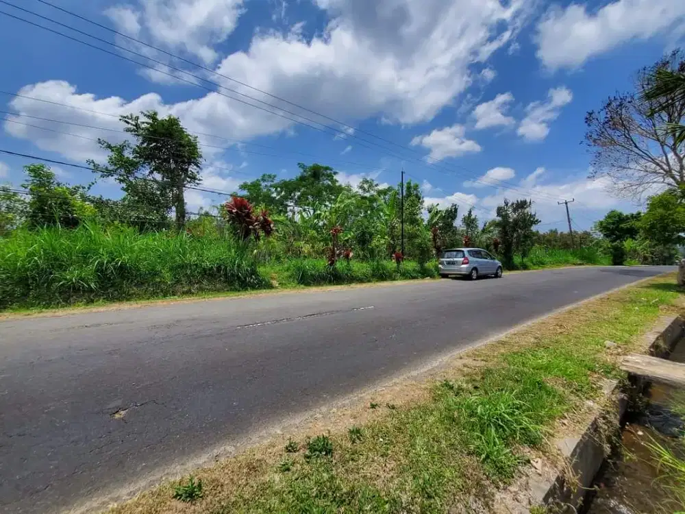 Tanah Murah View Gunung Di Jalan Utama Catur Belok Sidan Plaga Petang Badung