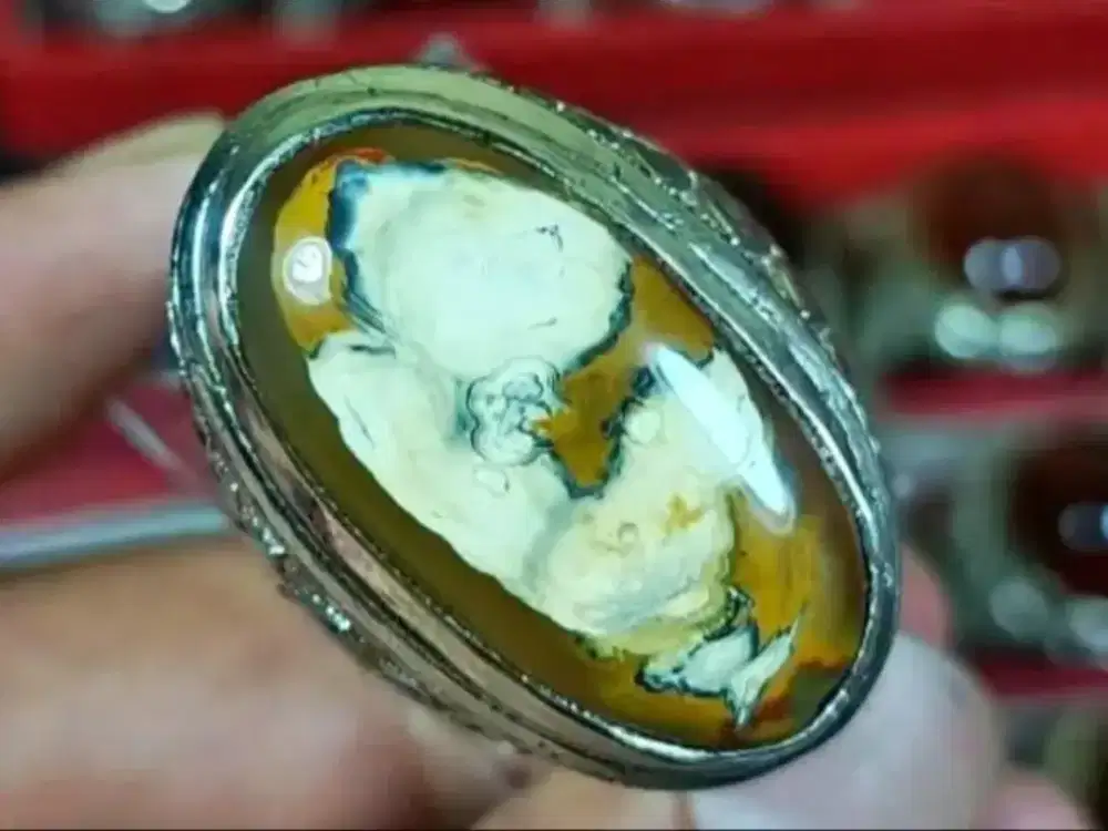 Batu cincin akik karang tunggal gambar unik