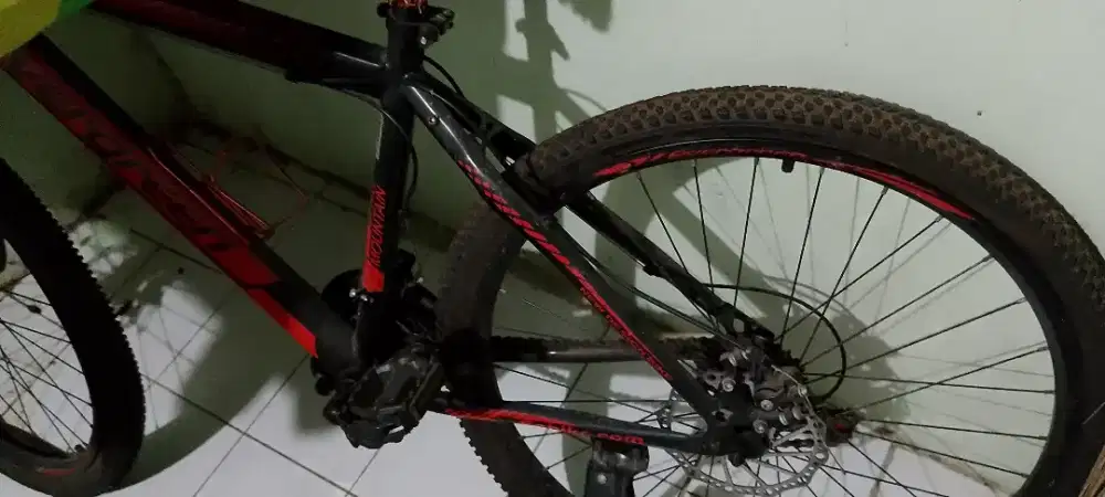 Evergreen Sepeda Gunung