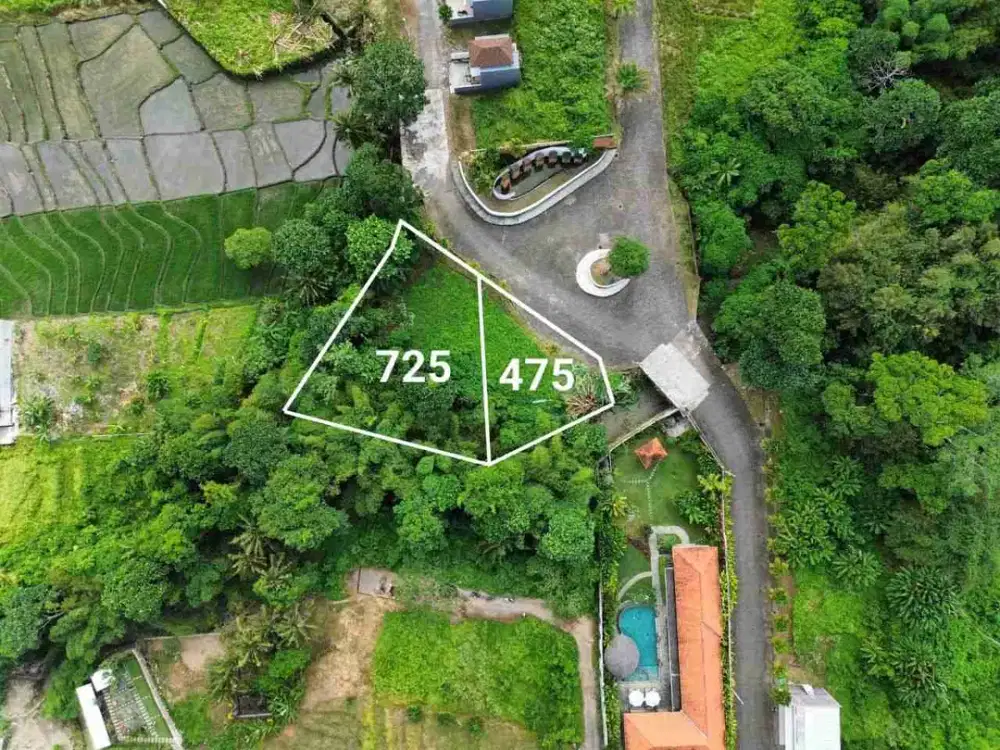 dijual tanah komersil view sungai lokasi kedungu
