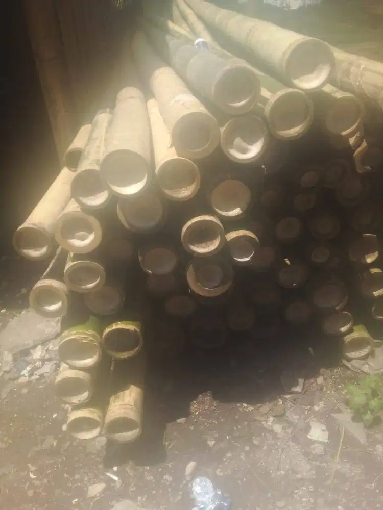 SEDIA BAMBU UNTUK STEGER ATAU BEKISTING