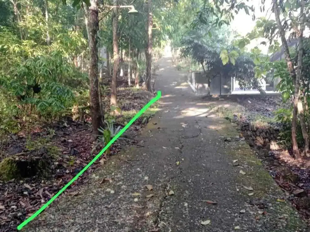 Dijual Tanah Murah Depan Mesjid di Srikayangan Sentolo