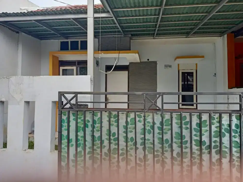 Rumah disewakan asri dan nyaman