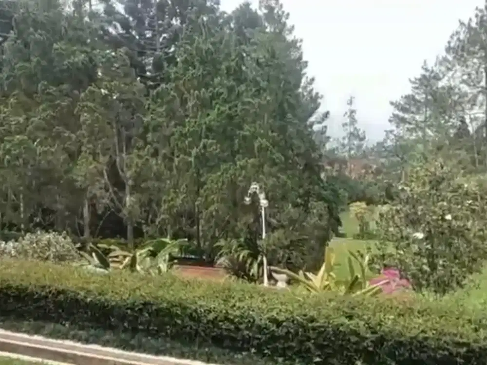 JUAL CEPAT SANGAT MURAH DIBAWAH NJOP VILLA CIMACAN PUNCAK SANGAT TERAWAT