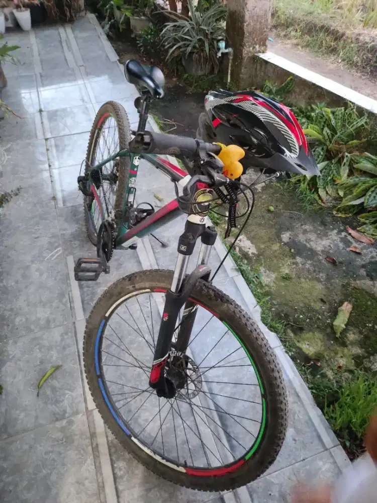SEPEDA POLYGON CASCADE 4