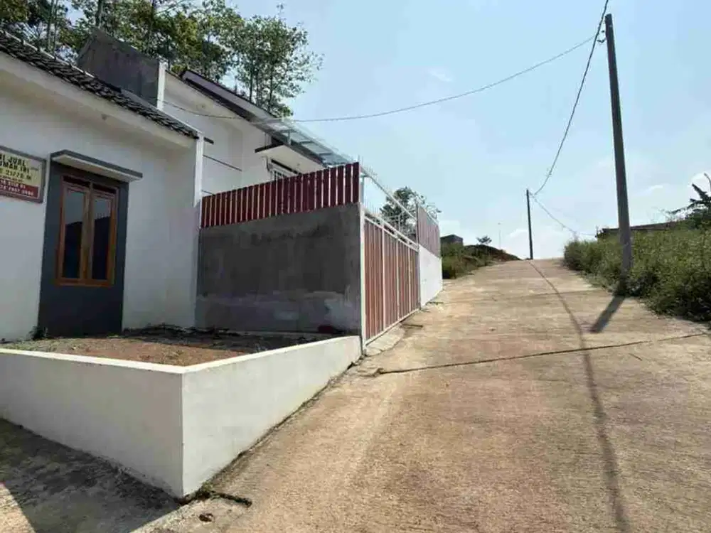 Rumah minimalis modern bebas banjir