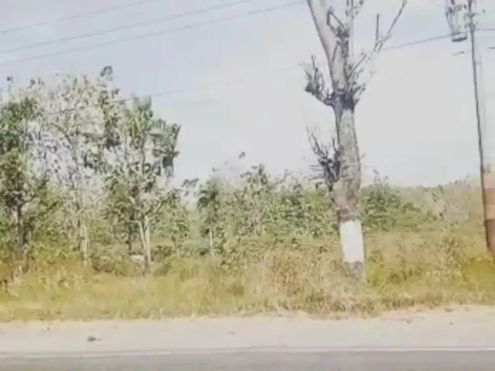 Dijual Lahan Zona Industri Strategis Lokasi Sumberlawang,Sragen Luas 3 Ha