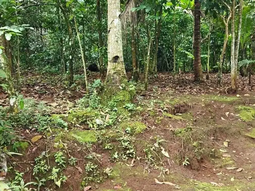 jual tanah pekarangan murah purbalingga kota