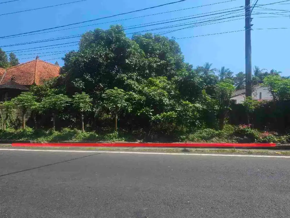 tanah pinggir jalan nasional cocok untuk usaha