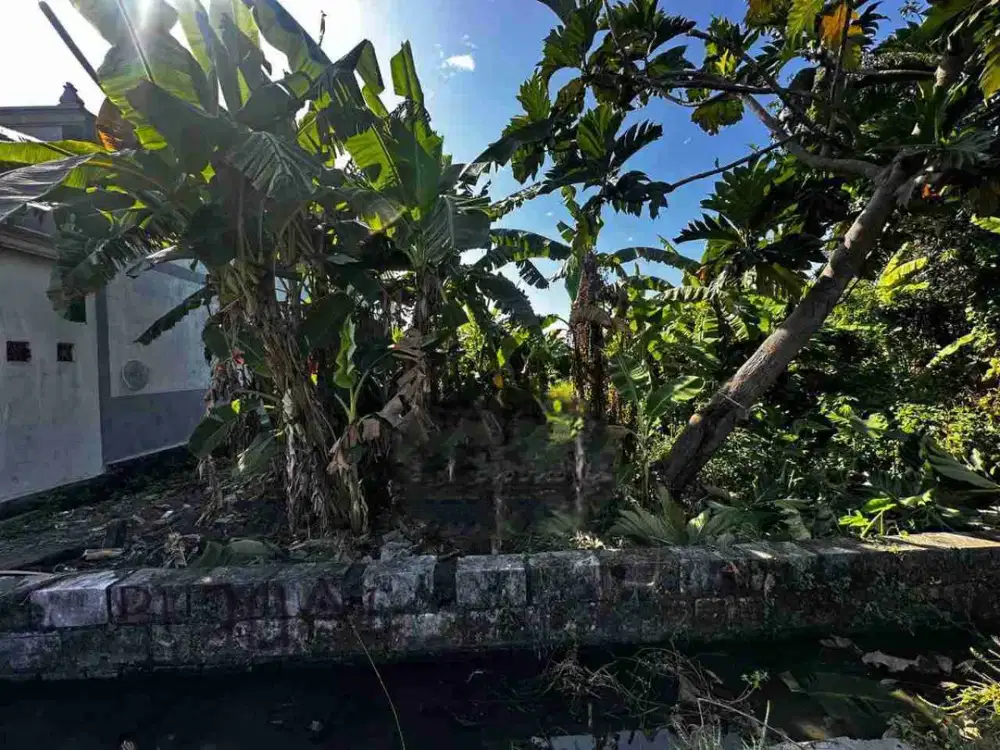 ‼️JUAL CEPAT ‼️TANAH DI SEDATI DEKAT BANDARA JUANDA