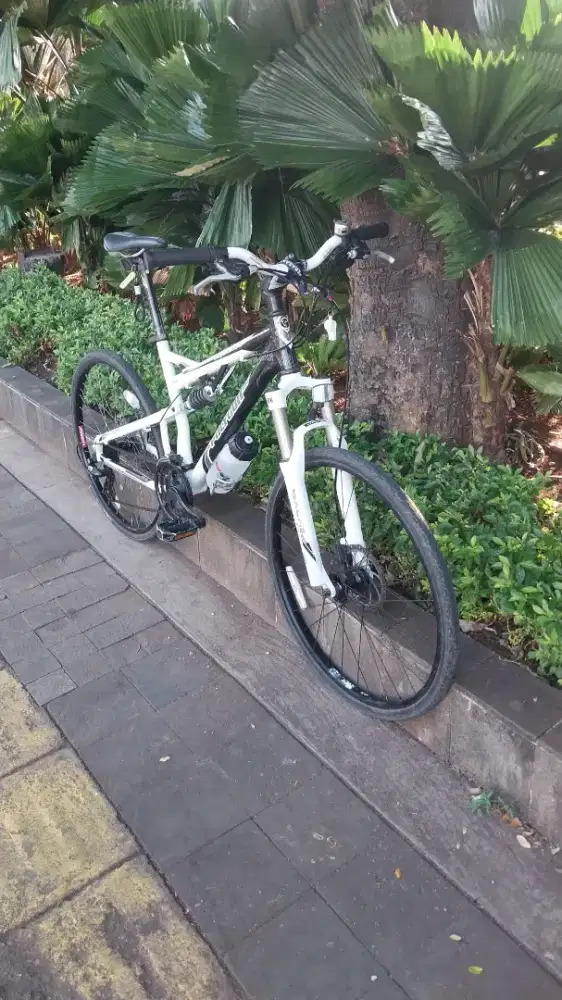 Sepeda MTB Polygon Broadway 3.0