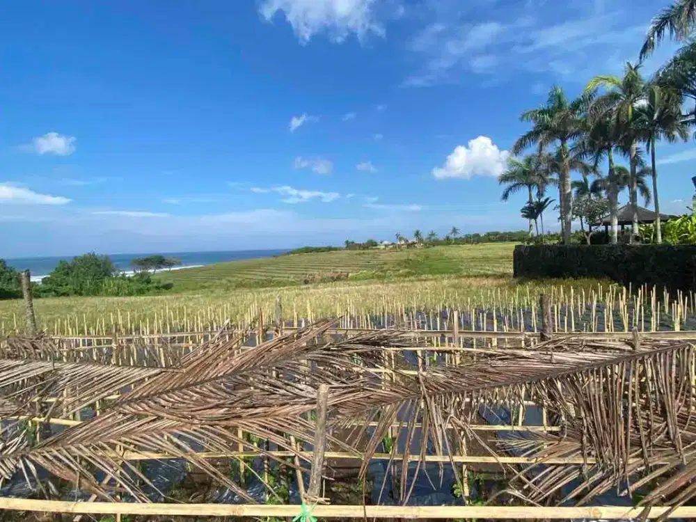 freehold pantai braban Tabanan bali