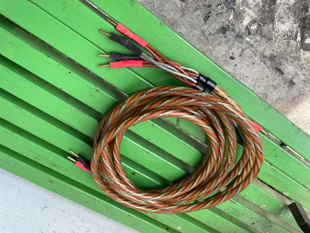 kabel Esotric audio ultera path speaker kable USA