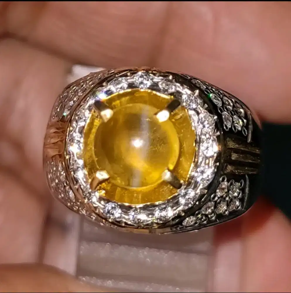 Natural Chrysoberil Cat Eye 3.08 Carats Memo High Quality