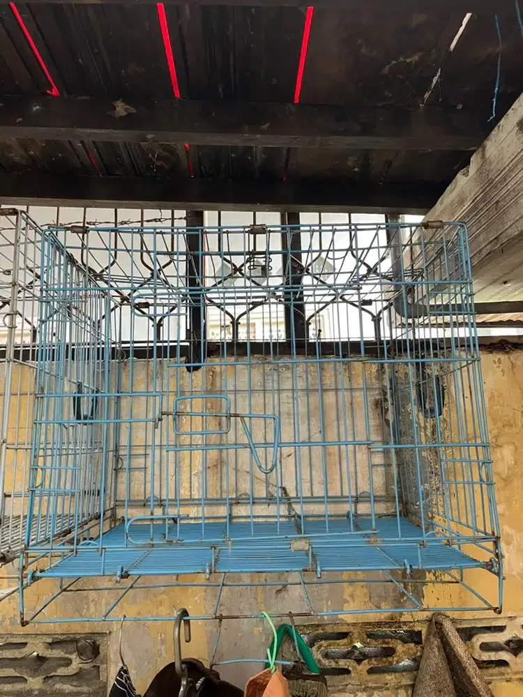 Kandang Kucing Bekas Layak Pakai