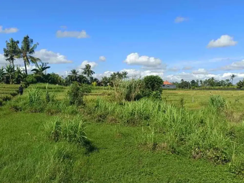 Dijual tanah lokasi pantai nyanyi tabanan Bali,lokasi sebelah barat pantai cemagi