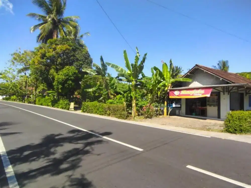 Area Bandara YIA Kulonprogo dekat kampus UAD 6 cocok investasi